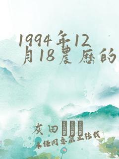 1994年12月18农历的生辰八字