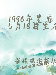 1996年农历5月18日生辰八字