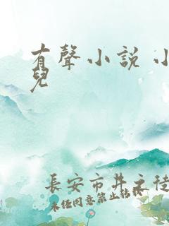 有声小说 小苮儿