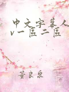 中文字幕人妻av一区二区