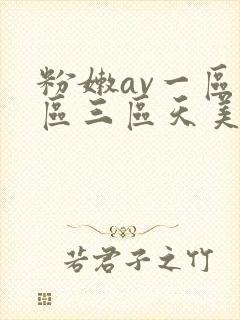 粉嫩av一区二区三区天美传媒