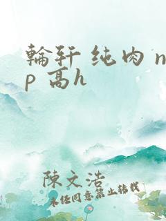 轮轩 纯肉 np 高h