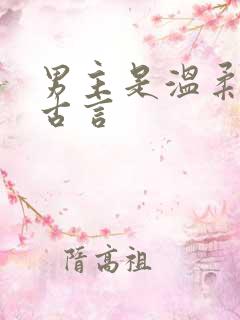 男主是温柔师兄古言