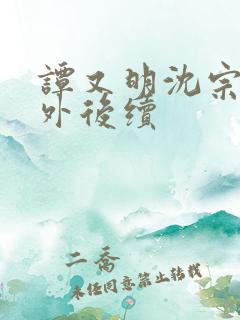 谭又明沈宗年番外后续