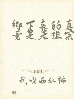 乡下来的真千金竟是老祖宗免费
