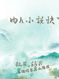 肉h小说快穿