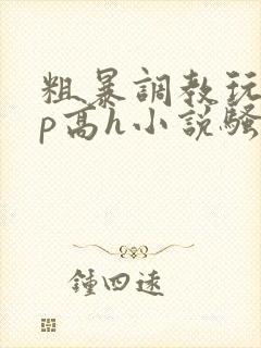粗暴调教玩弄np高h小说骚受