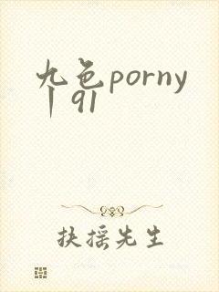 九色porny丨91