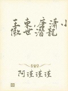 王东,唐潇小说傲世潜龙