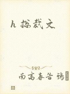 h 总裁文
