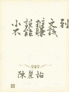 小说推文到底能不能赚钱
