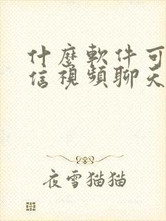 什么软件可以微信视频聊天美颜