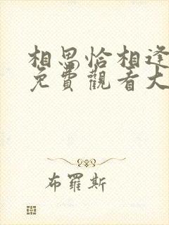 相思恰相逢短剧免费观看大结局
