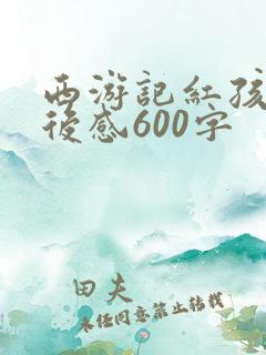 西游记红孩儿读后感600字