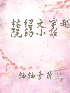 林绍文穿越四合院的小说