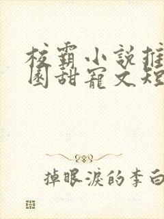 校霸小说推荐校园甜宠文短篇