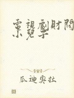 电视剧财阀家的小儿子
