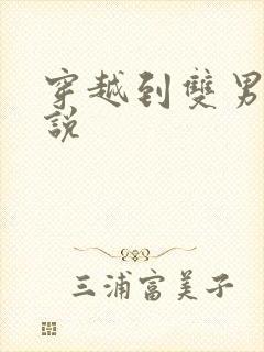 穿越到双男主小说