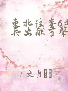 东北往事6赵红兵出狱有声小说
