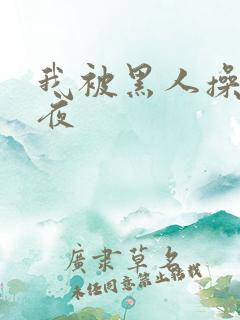 我被黑人操了一夜