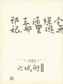 邪王通缉令:傻妃,哪里逃无弹窗全文免费阅读