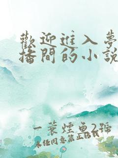 欢迎进入梦魇直播间的小说原著
