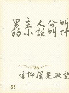男主人公叫叶凡的小说叫什么名字