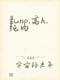 乱np,高h,纯肉