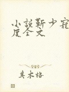 小说靳少宠妻无度全文