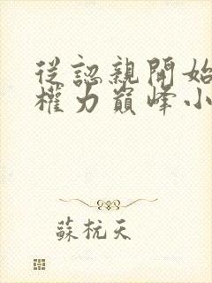 从认亲开始踏上权力巅峰小说电子书全集