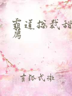 霸道总裁甜文推荐