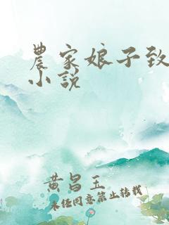 农家娘子致富记小说