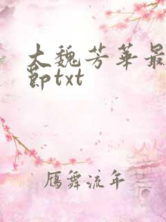 大魏芳华最新章节txt