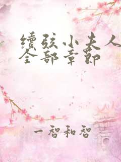 续弦小夫人小说全部章节