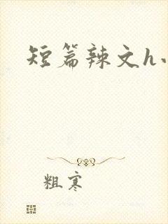 短篇辣文h小说