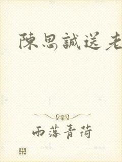 陈思诚送老婆