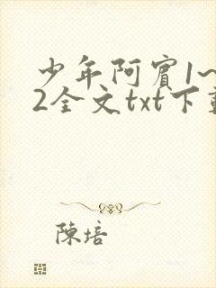 少年阿宾1~72全文txt下载