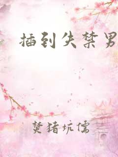 插到失禁男男