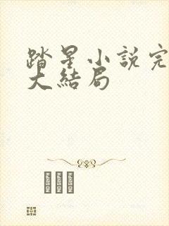 踏星小说完整版大结局