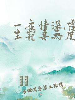一夜情深,霍先生宠妻无度小说看