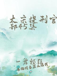 大宋提刑官第三部45集