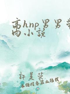 高hnp男男带肉小说
