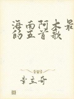海南阿木最好听的五首歌