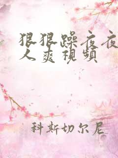 狠狠躁夜夜躁人人爽视频