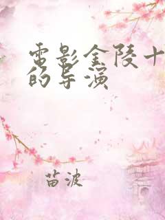 电影金陵十二钗的导演