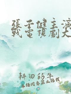 张子健主演的谍战电视剧大全