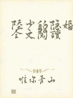 陆少的隐婚罪妻全文阅读