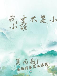我才不是小可怜小说