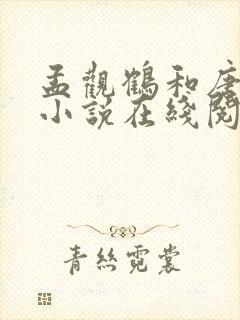 孟观鹤和唐安意小说在线阅读