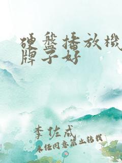 硬盘播放机哪个牌子好